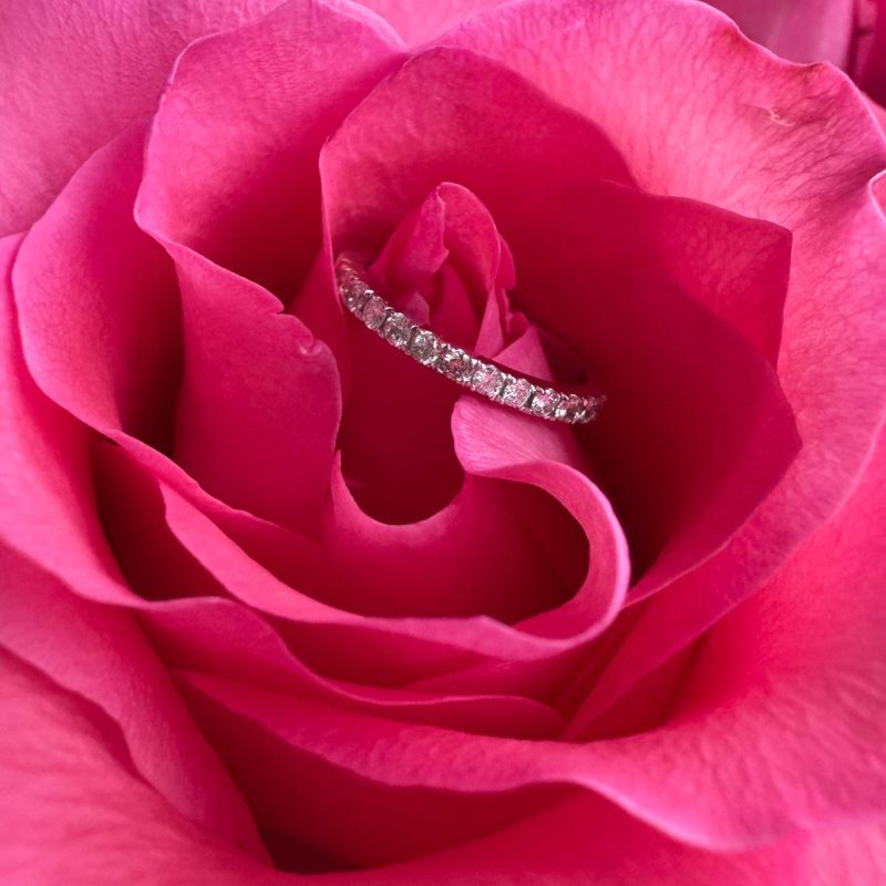 088b0951-f455-4e04-8f0f-6f024a6f695a