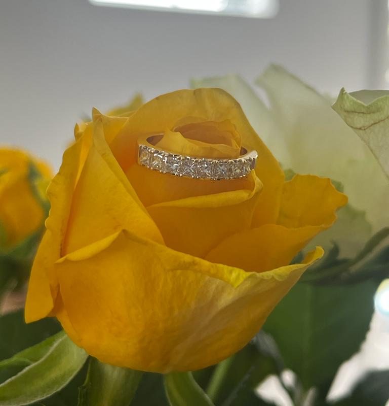 184cf823-3caa-459d-8fd5-444fa381899b