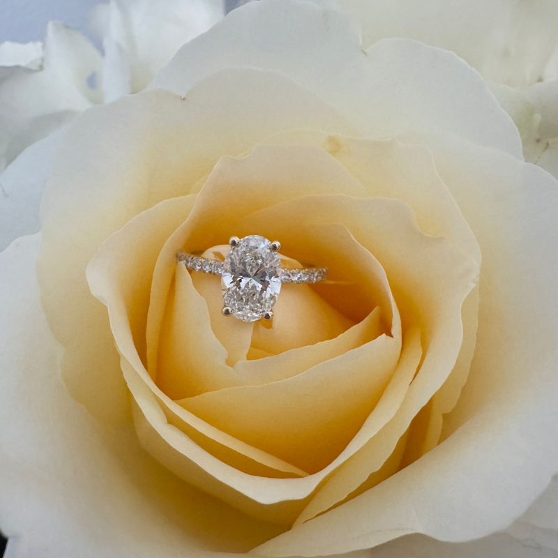 1ad9d2e2-7926-4779-a679-1eee21a2b7fc