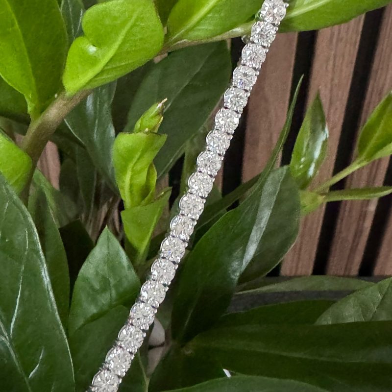 204ee4e7-8955-44b4-8a6b-d789efec71aa