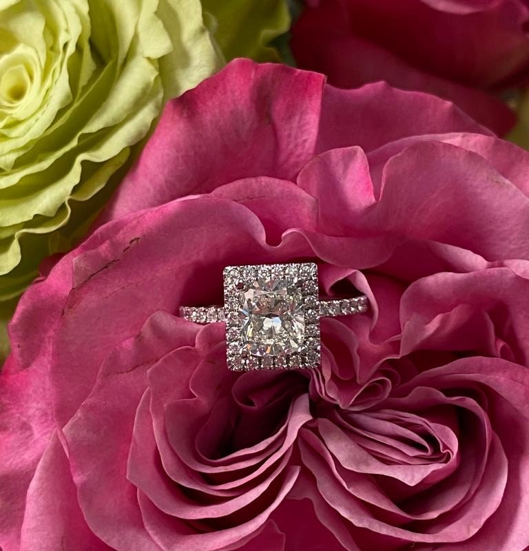 2d9bd311-e292-49be-80af-25f6eb8f5e32