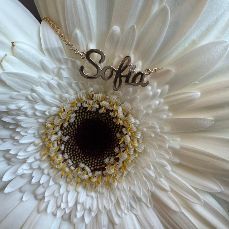 3a90d174-ee7b-48b1-aaf6-990f163e1dae