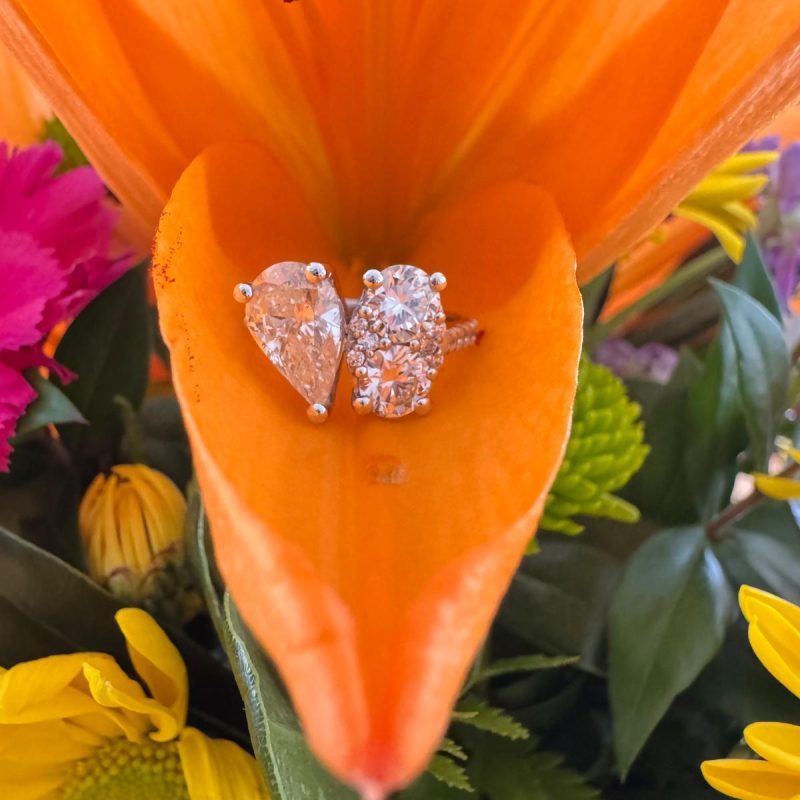 65af26f4-1fc3-49e1-950d-b3054f364208