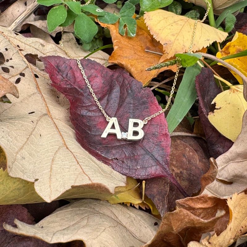 73abbaff-cb3a-42a9-ab6b-58014643fa60