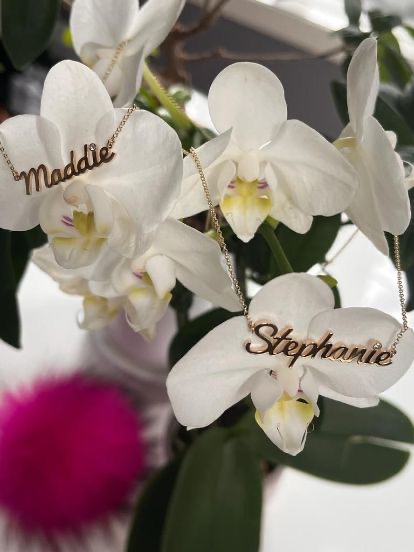 79efef56-050b-411e-8203-ac64c871078a