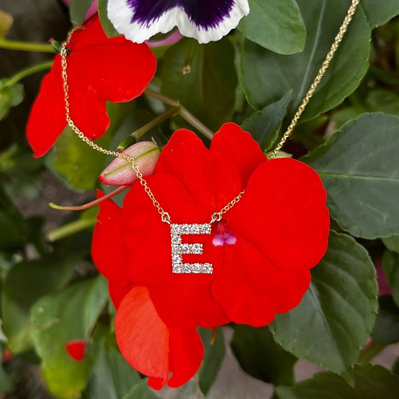 a3988ed2-8d45-49cd-8ed3-008d6fa71899