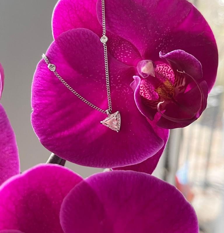 af6b066e-b71c-426b-86d0-ed97188041f1