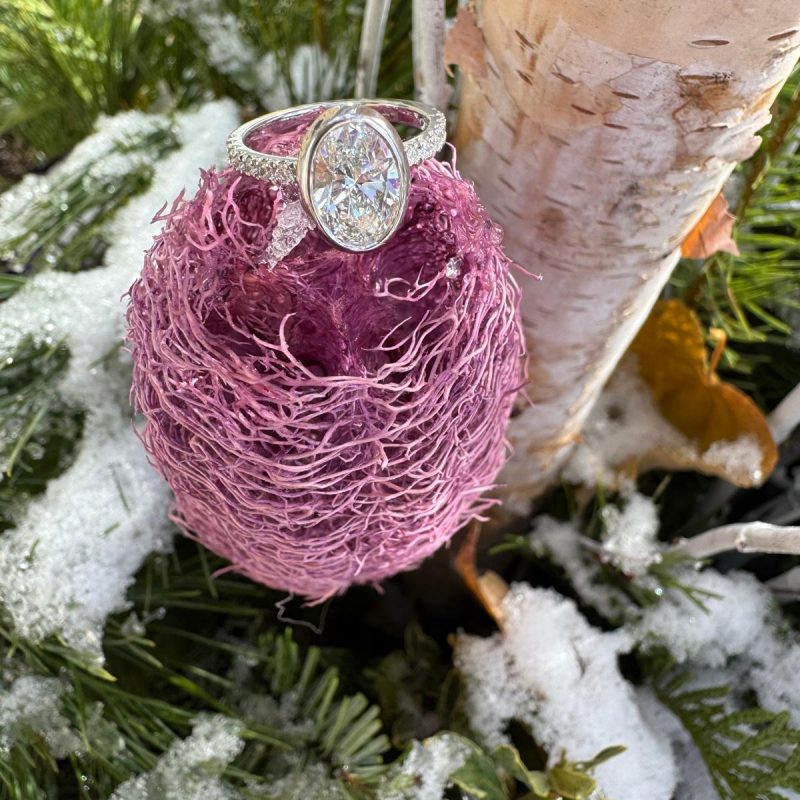 b5d47af2-16dc-4648-b732-55d72176234e