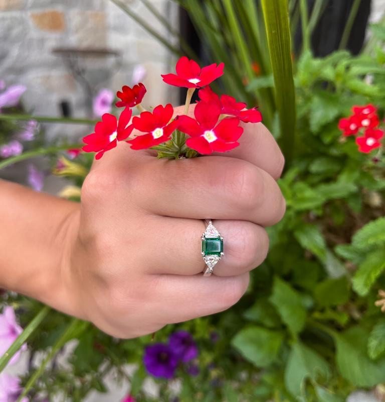 d10f6085-9978-4653-b7fb-124d6365f245