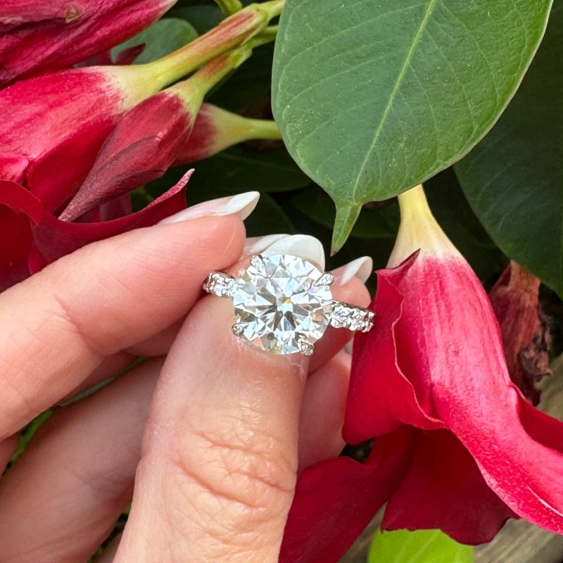 e14aa575-30ec-400f-bd09-9cb3e6882dba