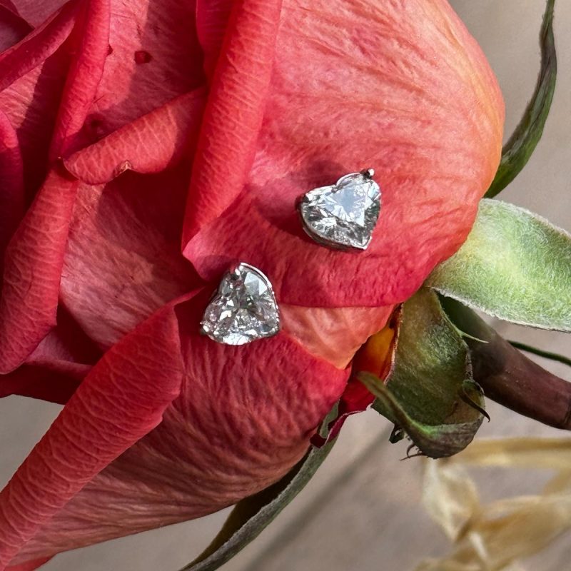 e71e430c-b06e-4d41-bd64-05887d7d1f64