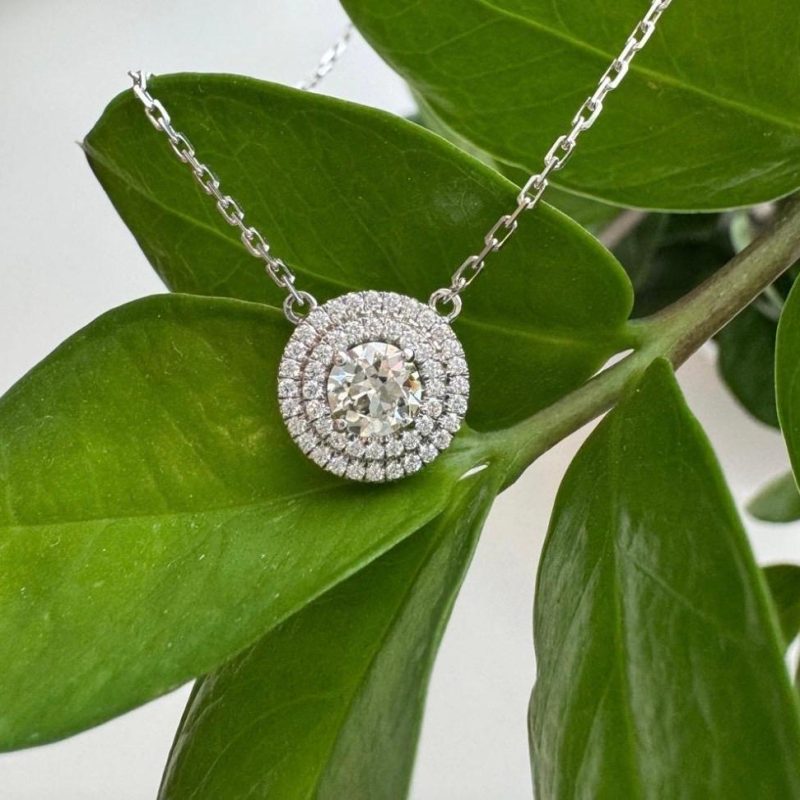 f8cdb6d1-052a-42c1-be58-df881278f50e